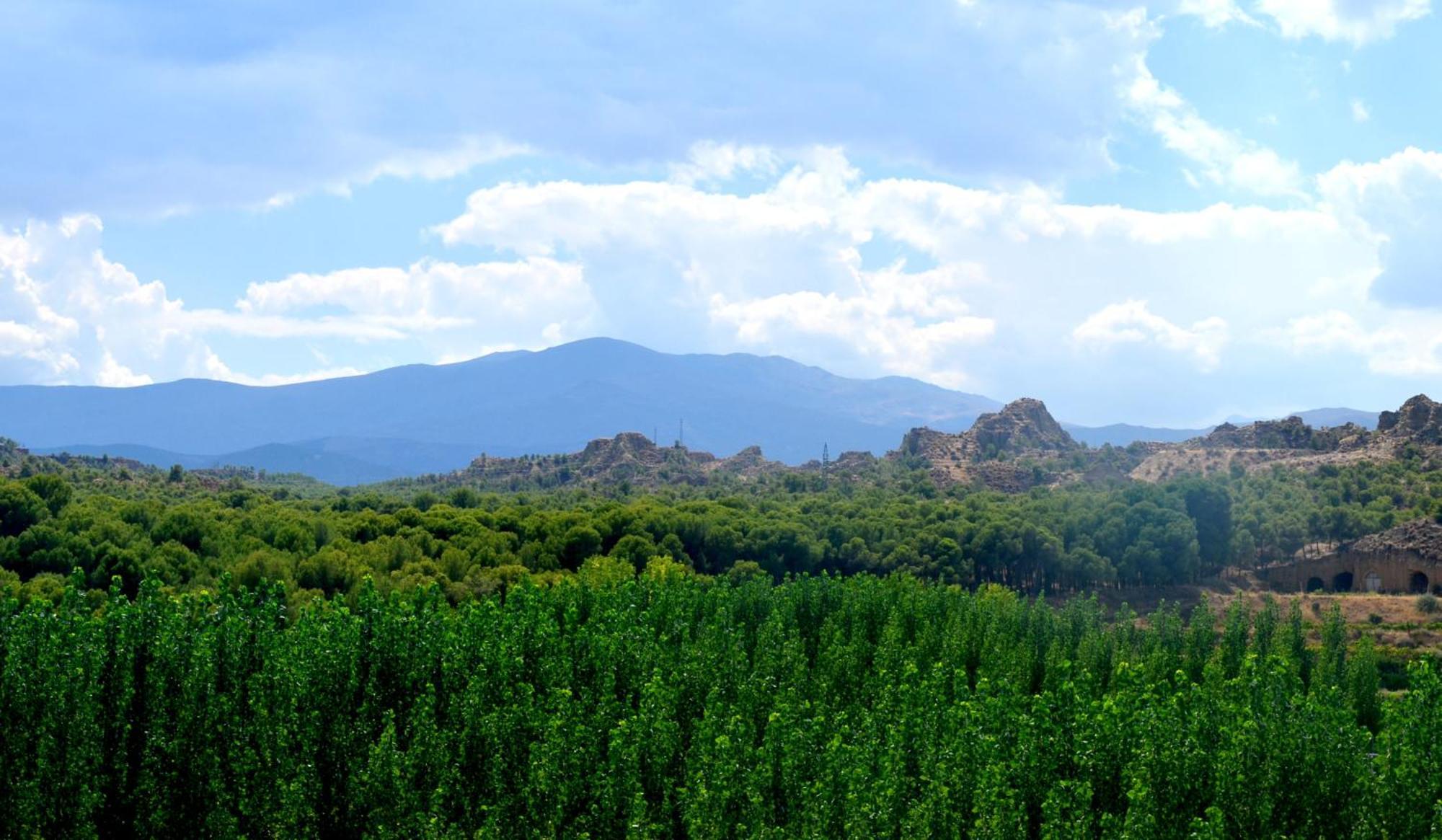 Cuevas Cortijo Gachas Villa Гуадикс Екстериор снимка